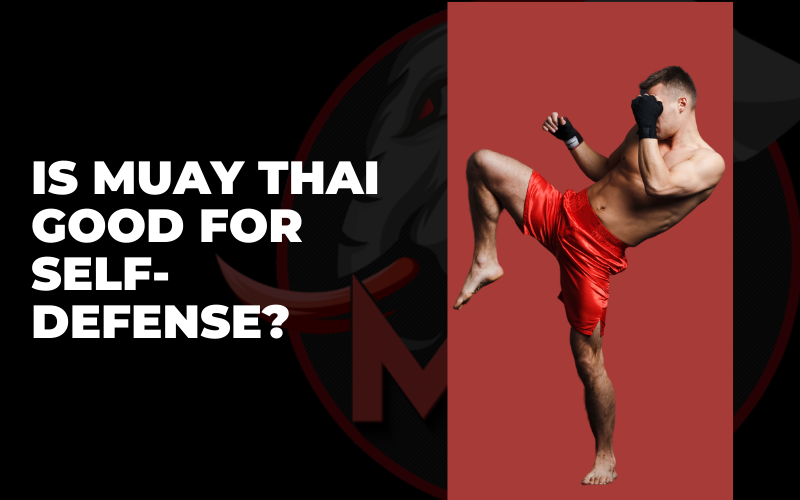 What is Muay Thai? Discover the Art of Eight Limbs - Thailand NOW